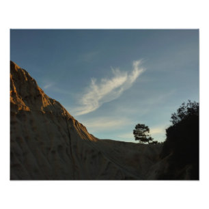 Foto El paisaje de Lone Torrey Pine California Sunset