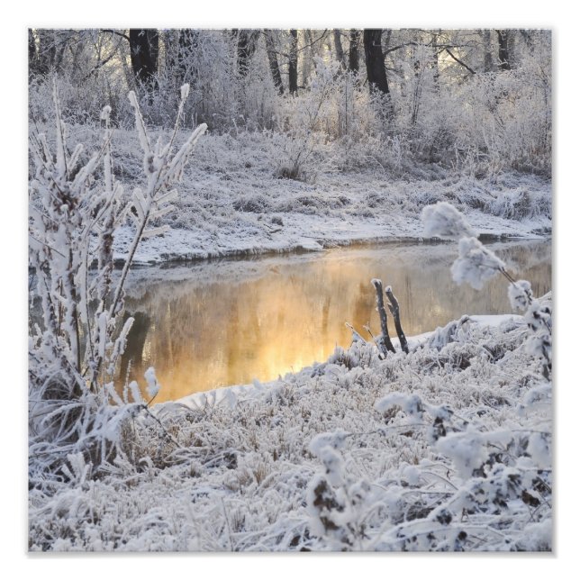 Foto El paisaje invernal blanco y nevado con luz reflej (Frente)