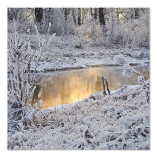 Foto El paisaje invernal blanco y nevado refleja la luz