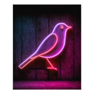 Foto El pájaro