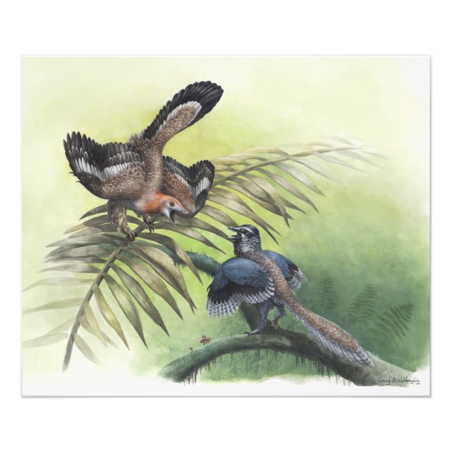 Foto El pájaro más temprano (Frente)