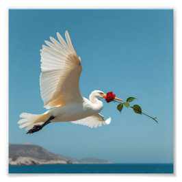 Foto El pájaro que viaja