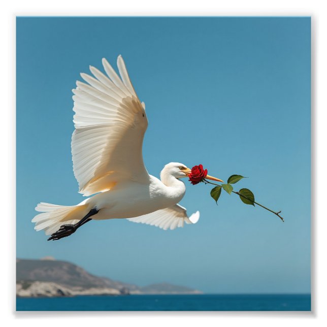 Foto El pájaro que viaja (Frente)