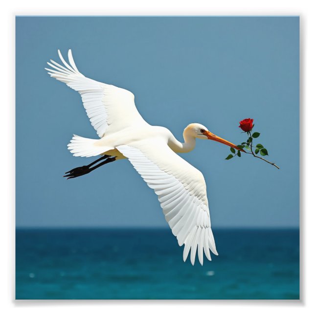 Foto El pájaro que viaja (Frente)