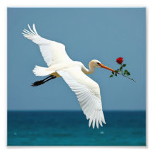 El pájaro que viaja