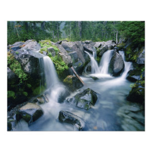 Foto El Paradise Creek fluye por las laderas del Monte