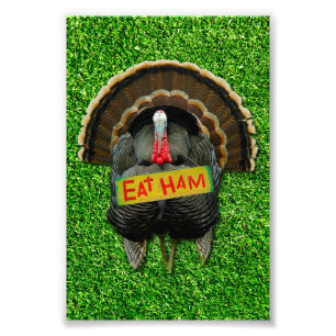 Foto El pavo orgulloso de SlipperyJoe come jamón colgar