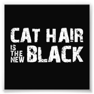 Foto El pelo del gato es el nuevo negro