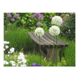 Foto El Pequeño Baño - Satinado de impresión fotográfic