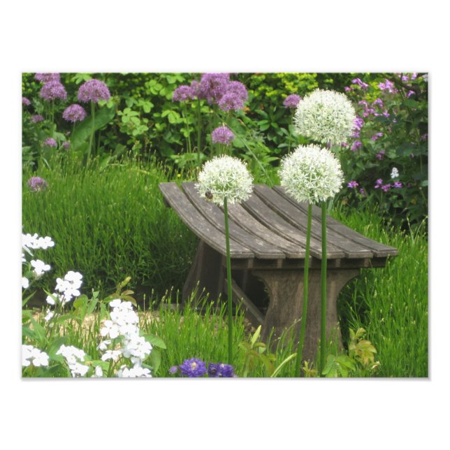 Foto El Pequeño Baño - Satinado de impresión fotográfic (Frente)