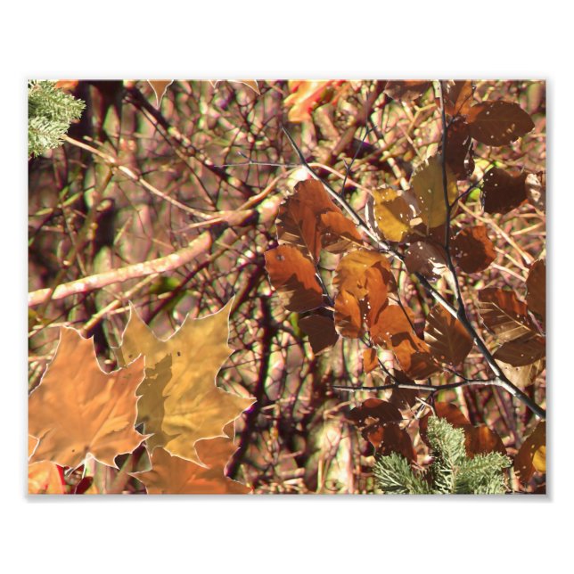 Foto El Personalizar de pintura Camo Camouflage de Hunt (Frente)