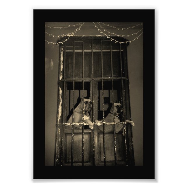 Foto El plan de escape (Frente)