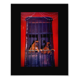 Foto El plan de escape