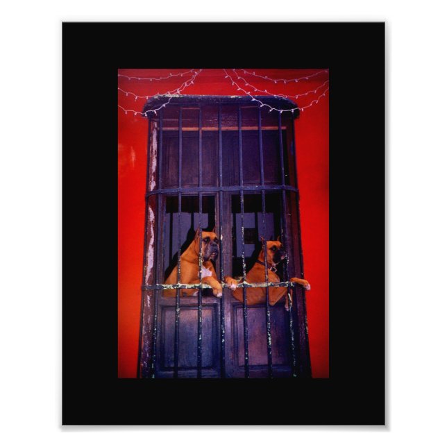 Foto El plan de escape (Frente)