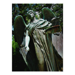 Foto "El portador de la vida"