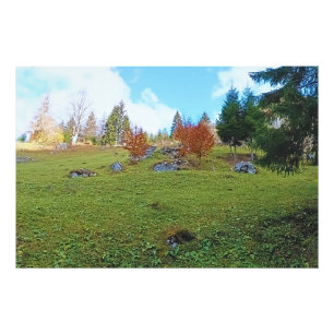 Foto El Prado de Montaña - Naturaleza Salvaje Rumania