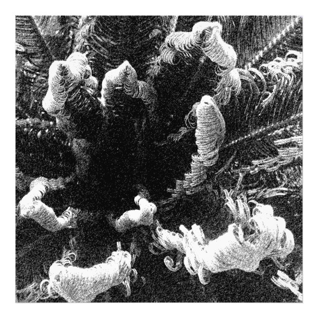 Foto El principio (Frente)