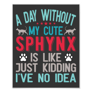 Foto El propietario canadiense de Sfinx Sairless Sphynx