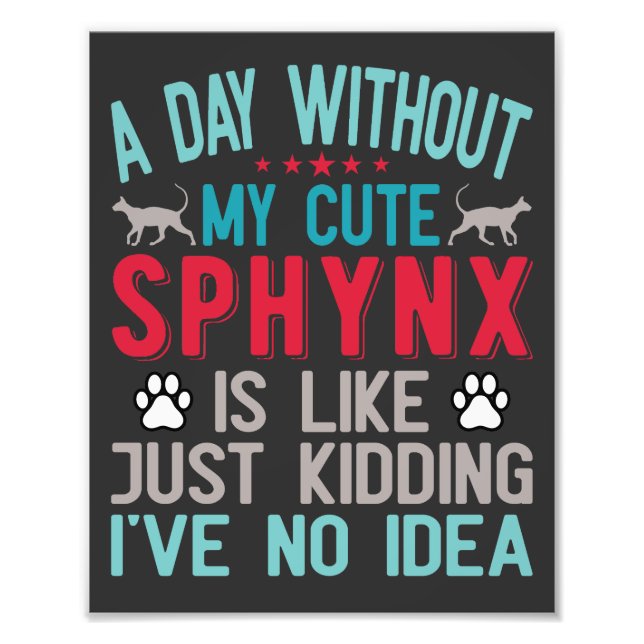 Foto El propietario canadiense de Sfinx Sairless Sphynx (Frente)