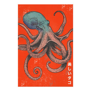 Foto El Pulpo Hermoso
