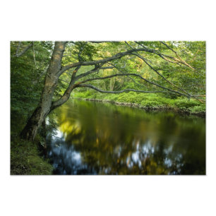 Foto El río Taunton en Bridgewater,