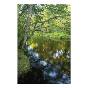 Foto El río Taunton en Bridgewater, 2