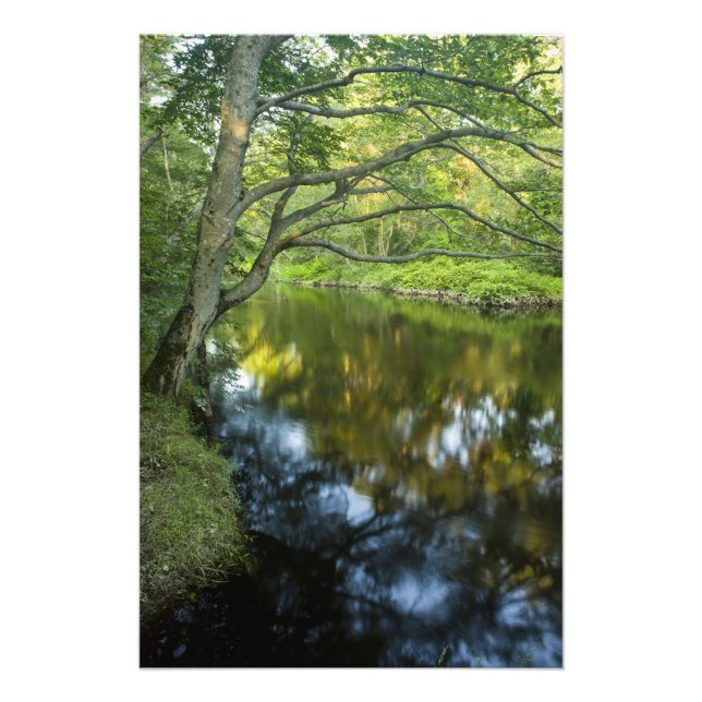 Foto El río Taunton en Bridgewater, 2 (Frente)