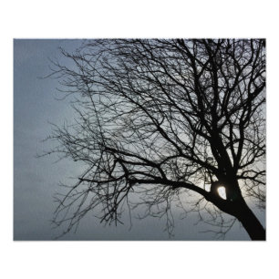 Foto el sol se oculta