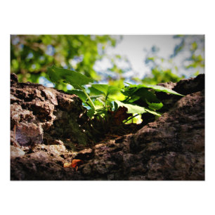 Foto "El trabajo duro con la vida"