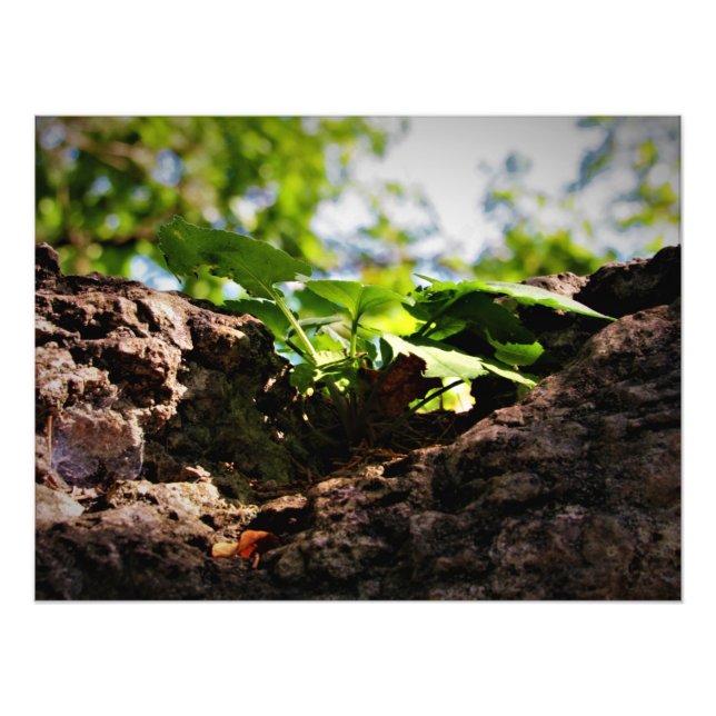 Foto "El trabajo duro con la vida" (Frente)