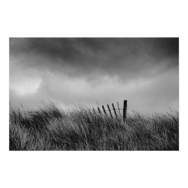 Foto El último post (Frente)