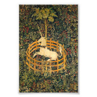 El unicornio en cautiverio