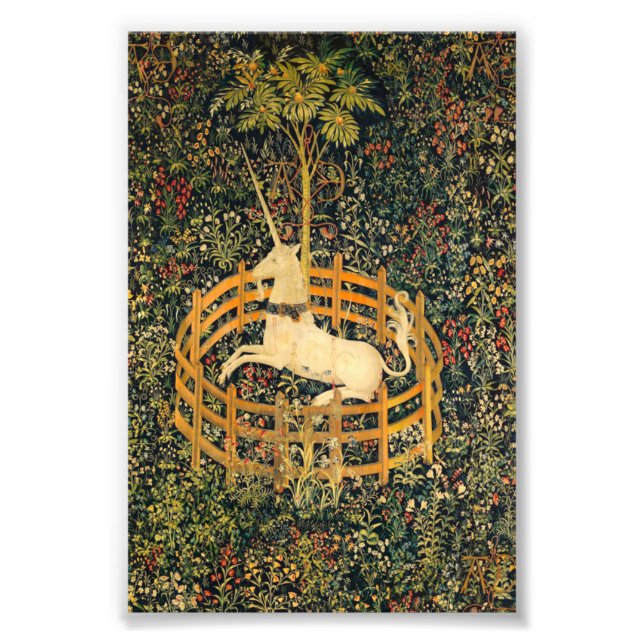 Foto El unicornio en cautiverio (Frente)