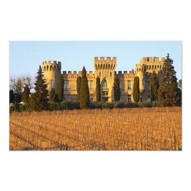 Foto El viñedo con vides syrah y el castillo (Frente)