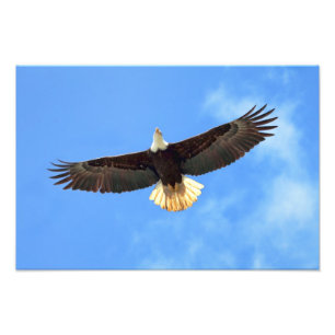 Foto El volar de Eagle