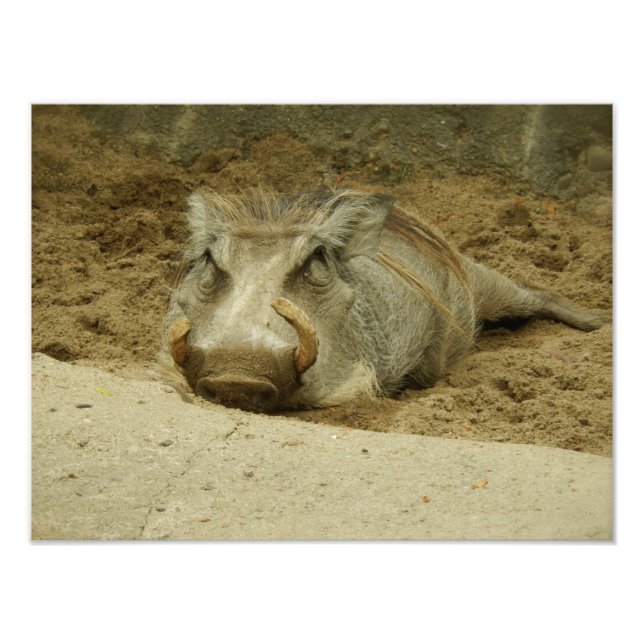 Foto El Warthog (Frente)