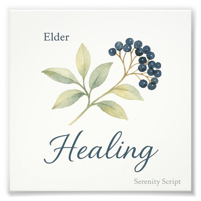 Foto Elder — Healing (Frente)
