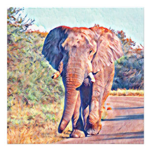 Foto elefante acuarell