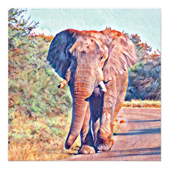 Foto elefante acuarell (Frente)