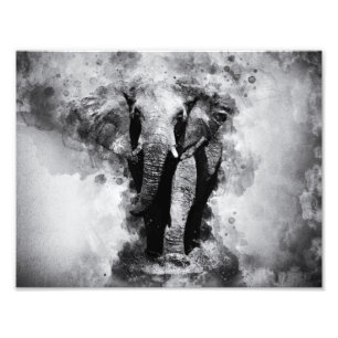 Foto Elefante africano de color blanco y negro