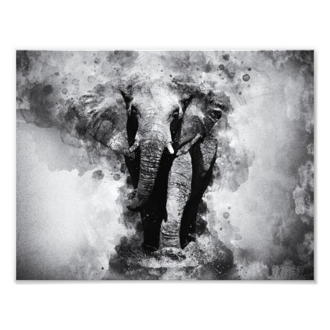 Foto Elefante africano de color blanco y negro (Frente)