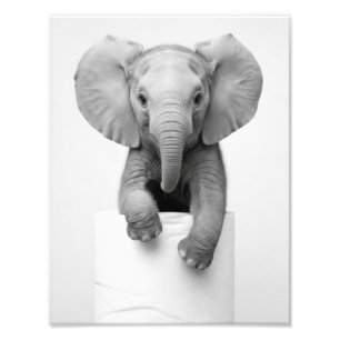 Foto Elefante Bebé Minimalista Asomándose al Rollo de P