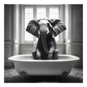 Foto Elefante en el baño