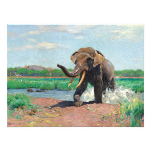Foto Elefante indio en un agujero de agua de Wilhelm Ku