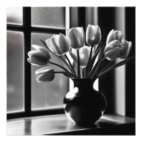 "Elegancia monocroma: Vida fija del tulipán blanco