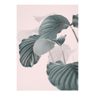 Foto Elegancia tropical en Pastel