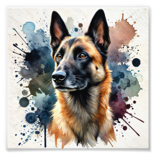 Foto Elegante arte acuático belga de Malinois