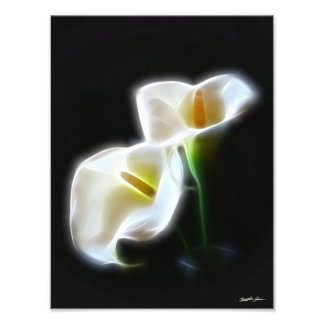 Foto Elegante Calla Lily Flores 13 Impresión moderna