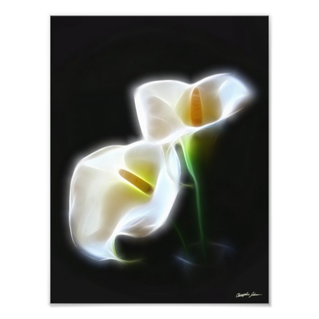 Foto Elegante Calla Lily Flores 13 Impresión moderna (Frente)
