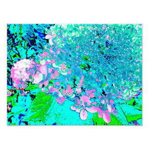 Foto Elegante Hydrangea de luz rosa y azul